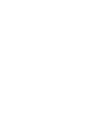 g1